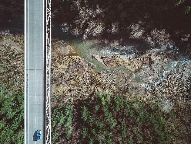 An aerial view of a bridge over a winding river, surrounded by dense forests. A single car is seen driving on the road above, with a contrast of dark tree cover and lighter areas near the water.