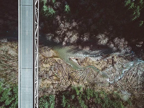 An aerial view of a bridge over a winding river, surrounded by dense forests. A single car is seen driving on the road above, with a contrast of dark tree cover and lighter areas near the water.