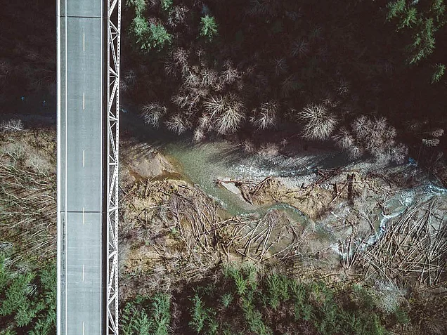 An aerial view of a bridge over a winding river, surrounded by dense forests. A single car is seen driving on the road above, with a contrast of dark tree cover and lighter areas near the water.